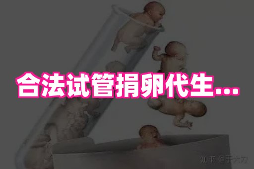 厦门助孕网站 2